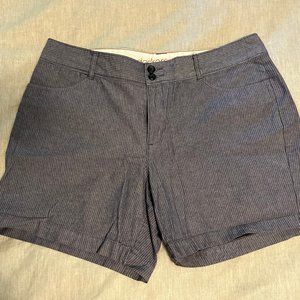 Women's Blue Stripped Dockers Shorts (Size 14)